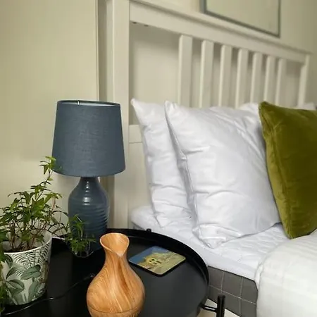 Shoreditch Cosy Flat, Next To Van Gogh Exhibition London