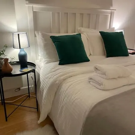 Apartment Shoreditch Cosy Flat, Next To Van Gogh Exhibition London