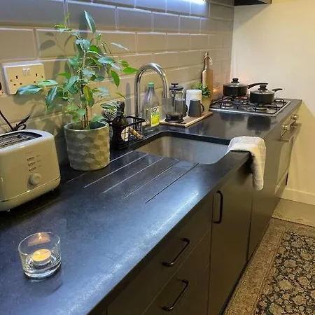 Apartment Shoreditch Cosy Flat, Next To Van Gogh Exhibition *