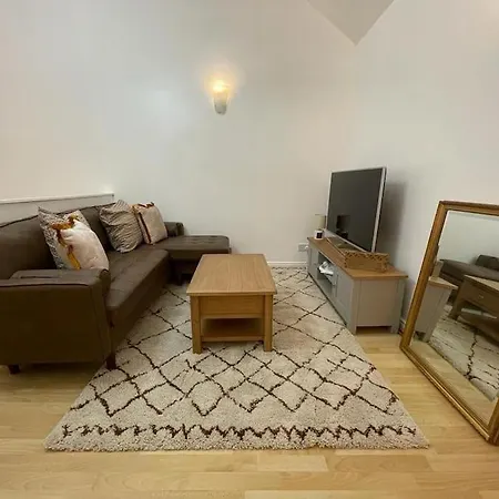 Beautiful 2 Bedroom Flat In London! Near Excel O2 Arena And Central! With Garden * Londýn