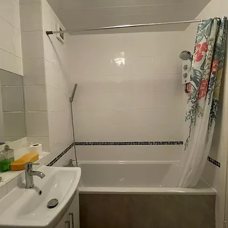 Apartmán Beautiful 2 Bedroom Flat In London! Near Excel O2 Arena And Central! With Garden Londýn