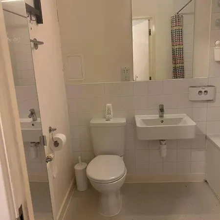 Park Royal Stay- Relax In A Specious Masters With Views In An Holiday home London