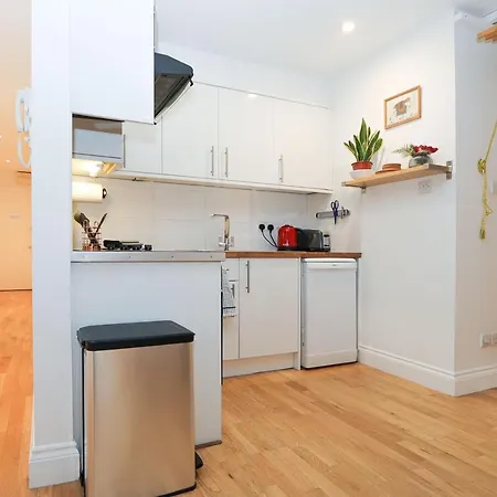 Bright 2-bed Garden Flat With Skylights In Chelsea