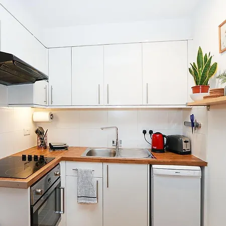 Apartment Bright 2-bed Garden Flat With Skylights In Chelsea