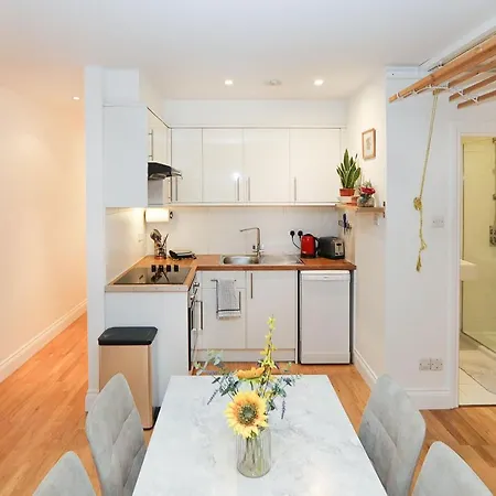 Bright 2-bed Garden Flat With Skylights In Chelsea