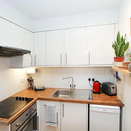 Apartment Bright 2-bed Garden Flat With Skylights In Chelsea
