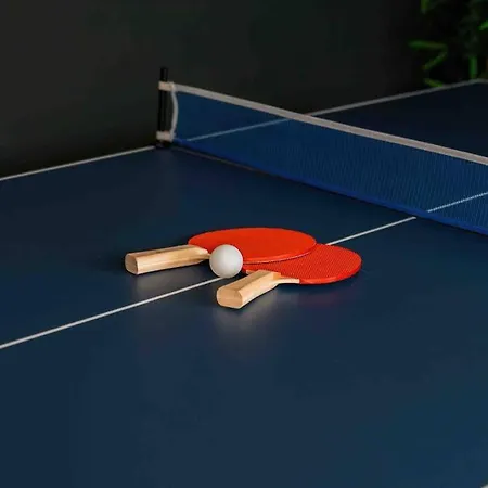 Contractor Base With Pool Table Ferienhaus