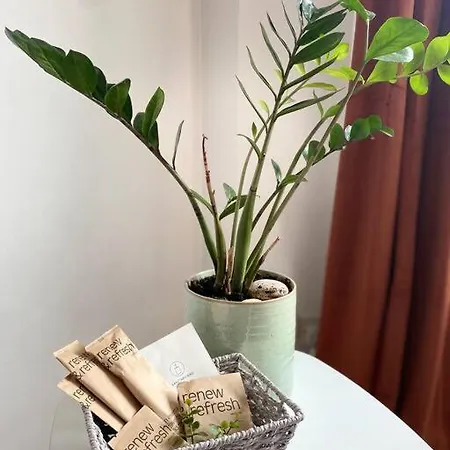 Charming Garden Flat With A Free Parking Apartment
