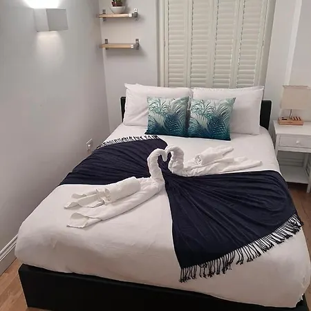 Apartment Bright 2-bed Garden Flat With Skylights In Chelsea