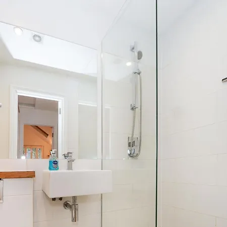 Bright 2-bed Garden Flat With Skylights In Chelsea