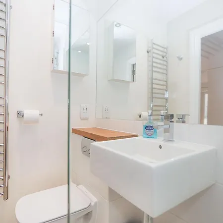 Bright 2-bed Garden Flat With Skylights In Chelsea Apartment *