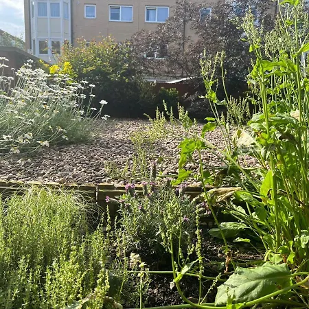 Double En-suite In Finsbury Park Homestay