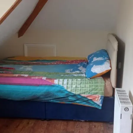 Selsdon Calm Airbnb Homestay