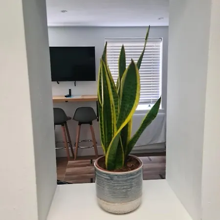 1 Bed From Apartment