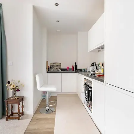 Sunny Luxury Skyline Flat Near Alexandra Palace, Tottenham Stadium & Drumsheds Apartment *