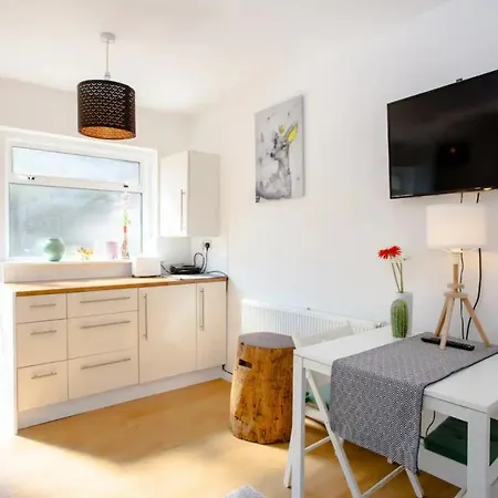 Stylish 4bd House With Private Garden - Stratford Londra
