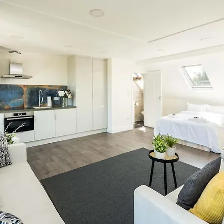 Golders 5 Stars Modern *