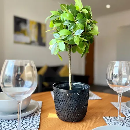 Stunning 2 Bed 2 Bath Luxury Apartment! London