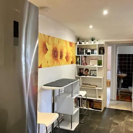 Comfy Rooms. Shared East Homestay. * London