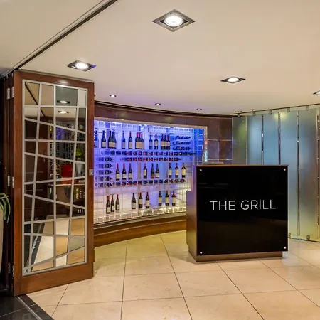酒店 蓟花大理石拱门酒店 伦敦