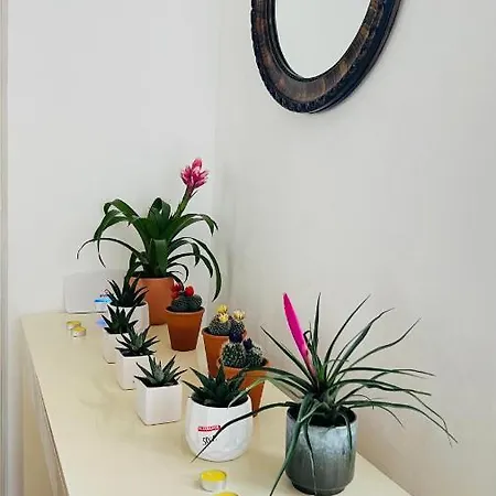 Apartment Piccadilly, Mayfair,