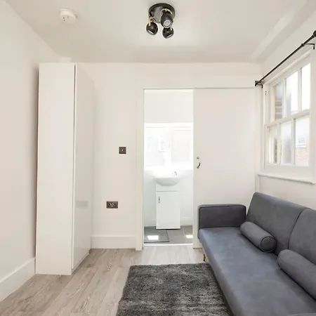 Spacious Serenity In The Heart Of Apartment London