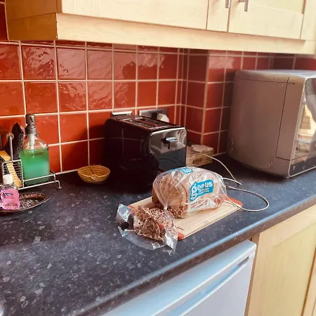 Apartment Homely 2 Levels Flat W Private Garden London