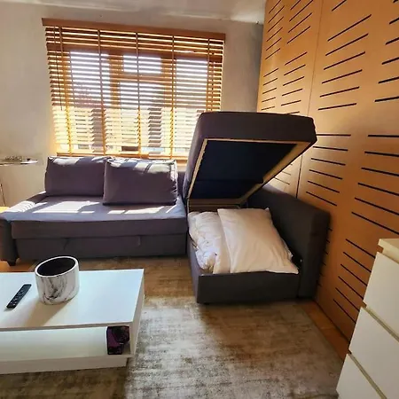 Spare In Peaceful Neighbourhood Near The Centre Of Apartment *