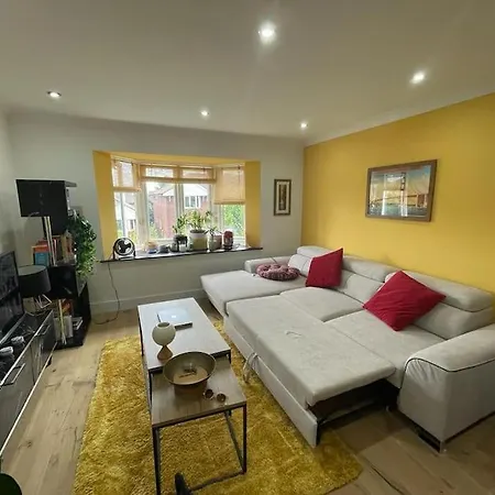 Double -the Stylish Yellow Flat