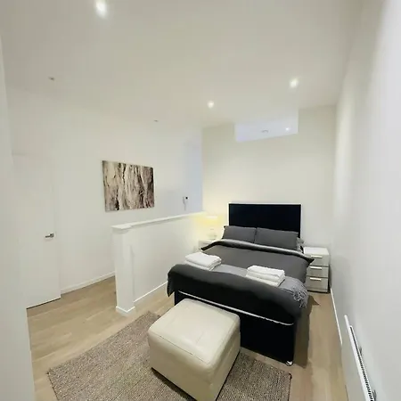 Apartment Spacious Flat, Fast Wifi, Free Parking London