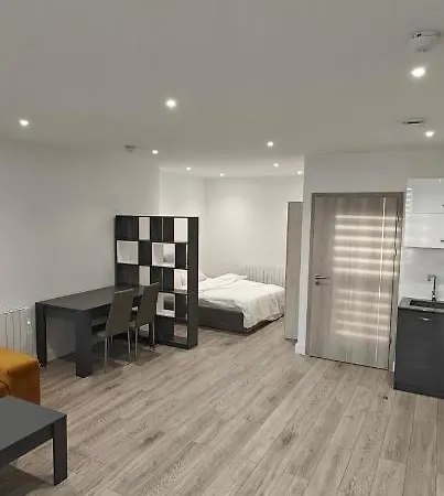Spacious Brand New Large Studio London By Uk Hmo 105 Apartment *