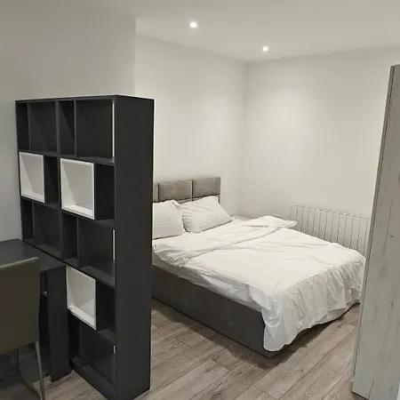 Spacious Brand New Large Studio London By Uk Hmo 105