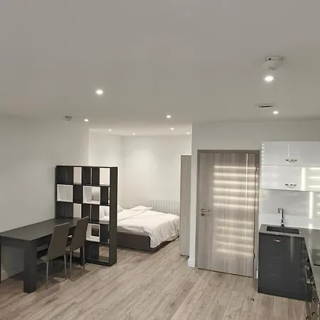 Spacious Brand New Large Studio London By Uk Hmo 105 *