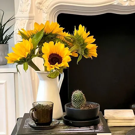 Apartment The Parisian Kensington *
