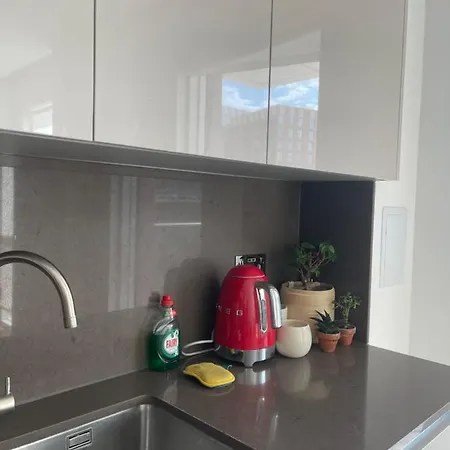Embassy Garden 1b1b Vauxhall Apartment
