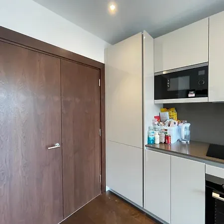 Embassy Garden 1b1b Vauxhall