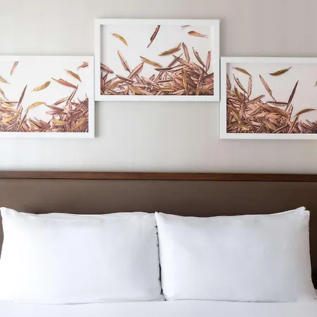 Hotel Hilton Hyde Park London