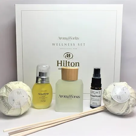 Hotel Hilton London 4*
