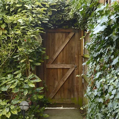 Shoreditch 1 With Garden Apartment