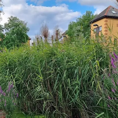 Homestay Stunning Massive Bedroom +direct Thames River View London