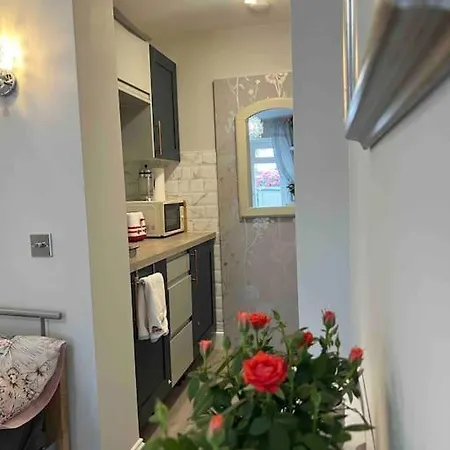 Cozy+elegant Studio@ West Apartment