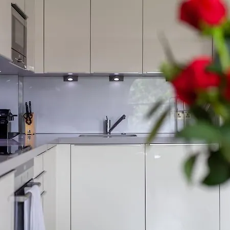 Apartment Spacious Modern One Bedroom Flat In Chelsea