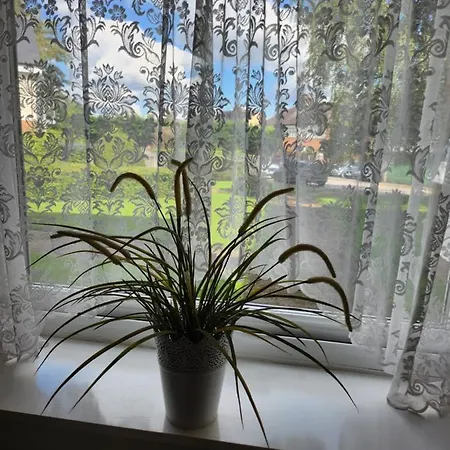 Apartment A Cosy 1 Bedroom *