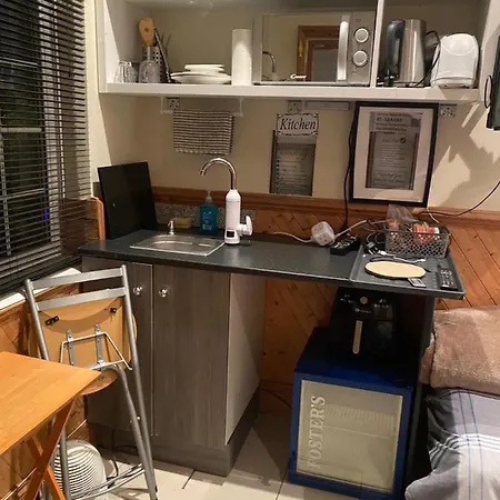 Bed and breakfast Big In London, Forest Hill Londres