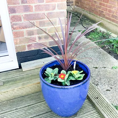 Holiday home De Montfort House London