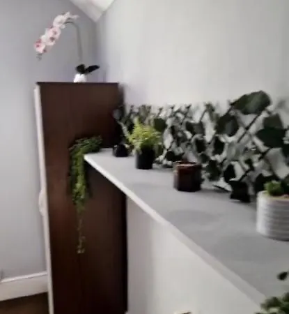 Guest house Single
