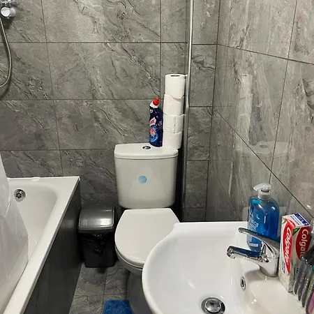 One Bed Flat Near Wembley Stadium Apartment *
