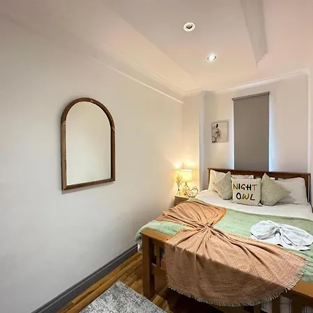Stylish 1-bedroom And Living In Apartment *
