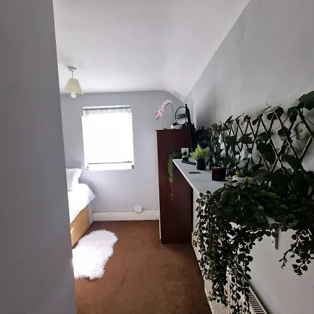 Single Guest house