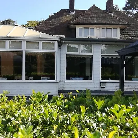 Many Worlds Meet: Spacious Family Near Wimbledon & London Homestay